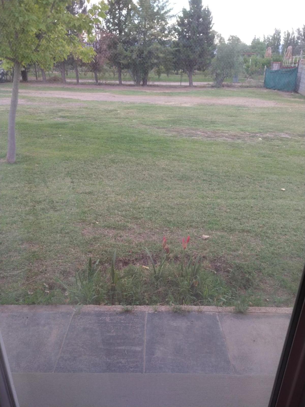 Complejo El Hornero Casa